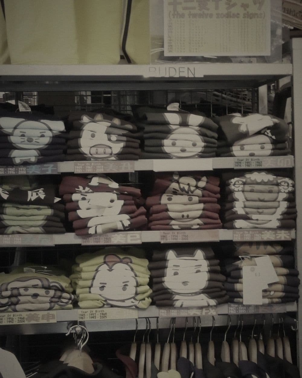 Merch, worn on a rooftop